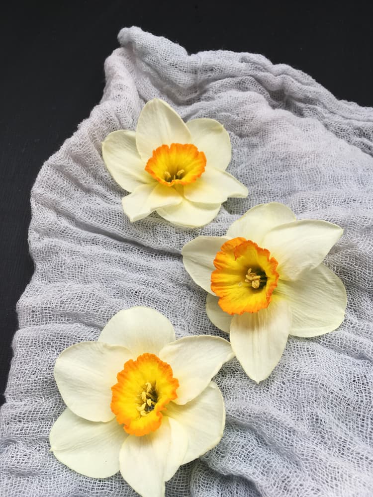 <b>Sagitario</b>
<br>Te gusta mucho la aventura y tienes gustos exquisitos y muy refinados, usa el perfume de rosas y pon saquitos con pétalos de narcisos en tus cajones, te aportará buena energía y fuerza positiva.
<br>