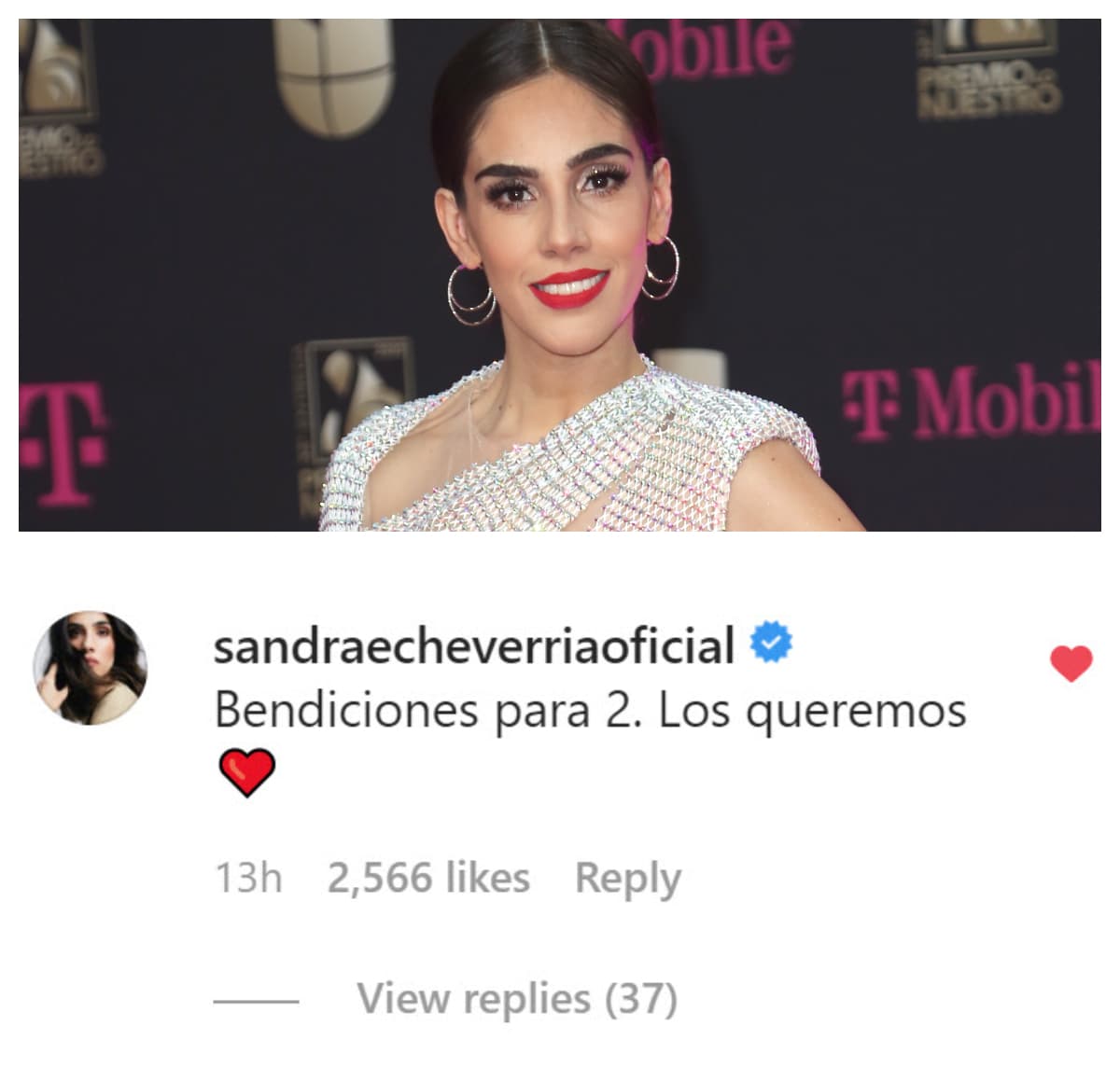 Sandra Echeverría, la protagonista del último remake de
<b><a href="https://www.univision.com/shows/la-usurpadora/conoce-quien-es-quien-en-la-nueva-version-de-la-usurpadora-fotos" target="_blank"> La Usurpadora</a></b>, también les demostró su cariño y respeto. 
<br>