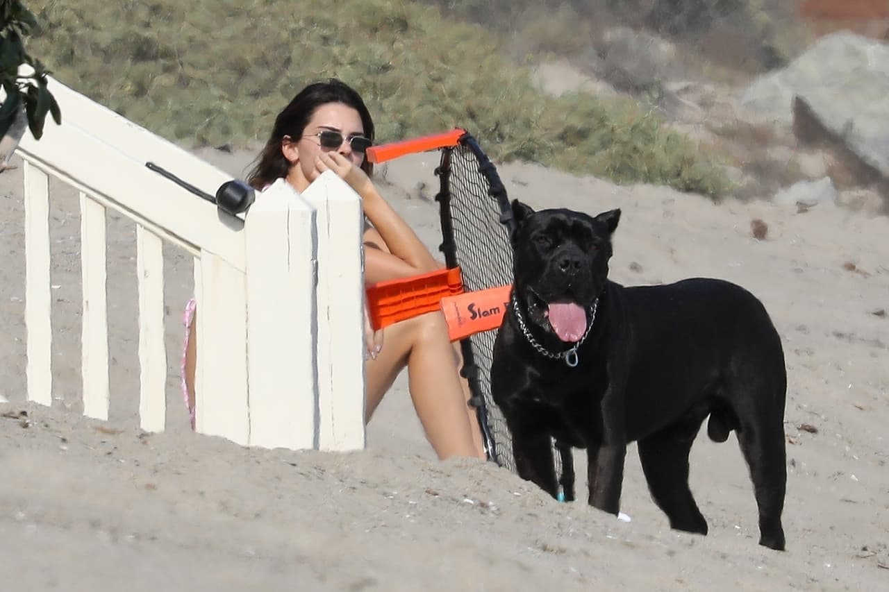 Mientras que 
<b>Kendall se bronceaba</b> bajo los rayos del sol con un bikini rosado.
<br>