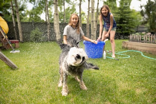 <b>Flower Mound, Texas</b>
<br>Fue catalogada como la quinta ciudad más segura de Estados Unidos. A menudo es reconocida como una de las ciudades más seguras de Texas. Ubicada al norte de Fort Worth y Dallas, esta ciudad ha invertido en un extenso sistema de senderos y un centro de salud comunitario. 
<br>
<br>Flower Mound también tiene un consejo de acción juvenil que asesora a los funcionarios de la ciudad sobre programas e iniciativas educativas.
<br>
<b>Población: </b>75,101 
<br>
<b>Población hispana (2018): </b>5,433
<br>
<b>Ingreso promedio: </b>$128,426 
<br>
<b>Tasa de graduación:</b> 96,9% 
<br>
<b>Tasa de delincuentes sexuales (por cada 10.000):</b> 2,30 
<br>
<br>