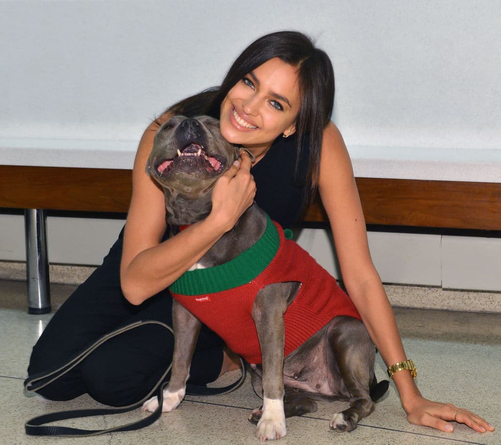 Unas imágenes conseguidas por un medio británico, aseguran que son ‘más que amigos’.