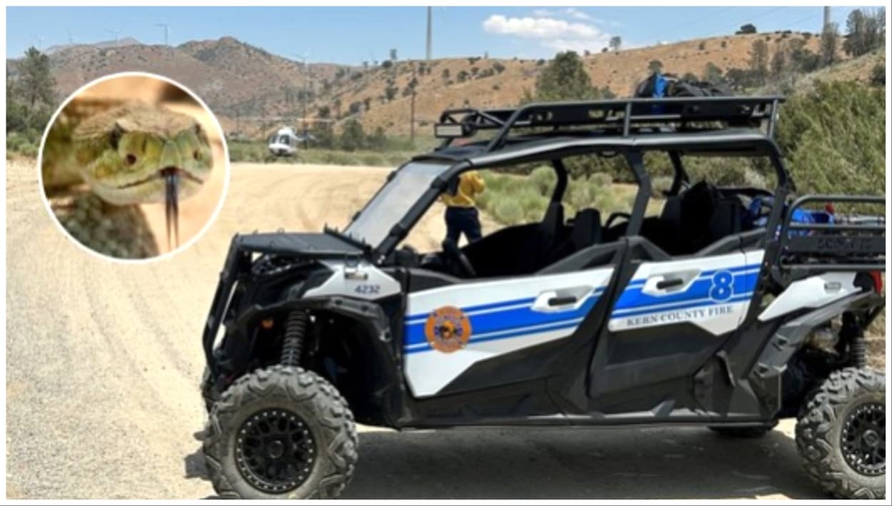 Excursionista mordido por serpiente fue trasladado en helicóptero al hospital