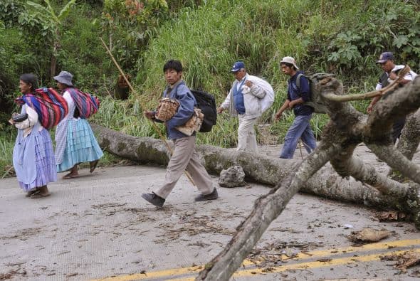 El pedido inicial de los cocaleros era suspender una reglamentación de comercialización que imponía mayores controles a las ventas de la hoja para evitar que los excedentes alimenten el narcotráfico.