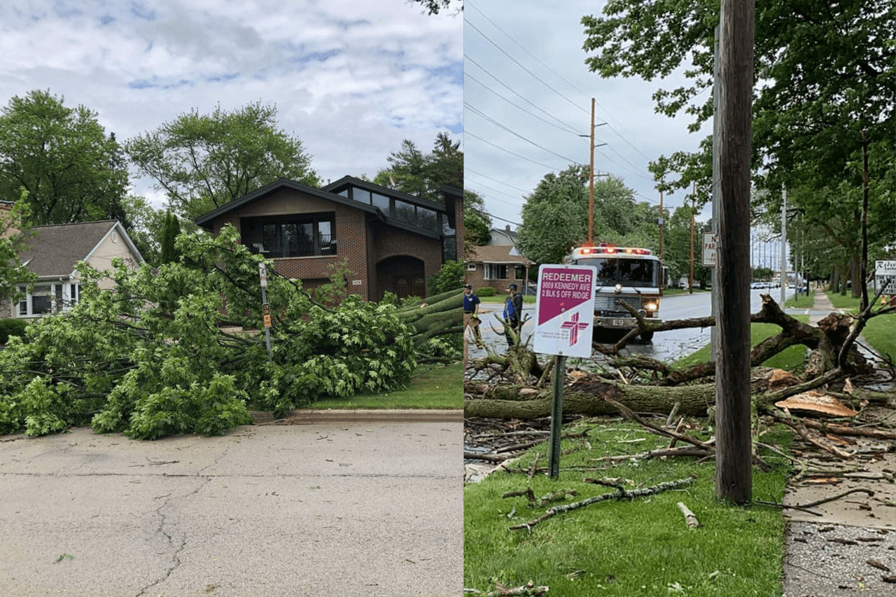 Varios árboles caídos dejan los fuertes vientos y las tormentas en Chicago y sus alrededores