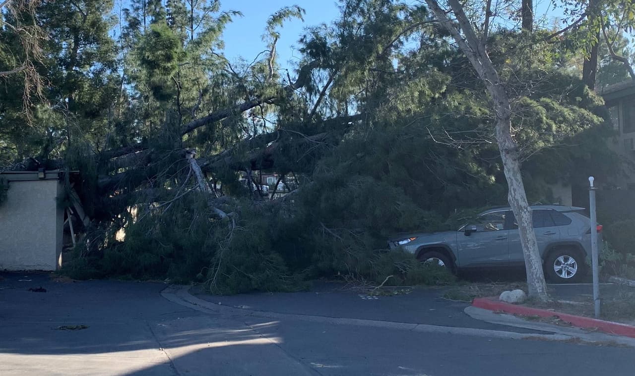 Fuertes vientos de Santa Ana pueden causar estragos: NWS extiende advertencia 