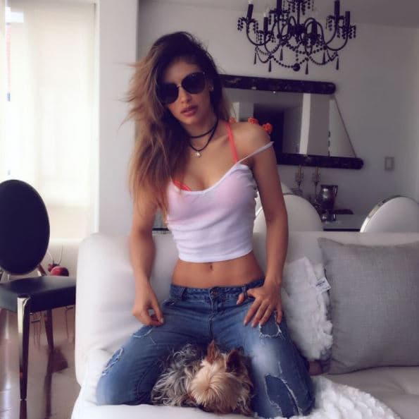Jessica Cediel reveló al programa colombiano "La Red" uno de sus secretos para mantener su abdomen plano: "tomo un batido verde que contiene pepino cohombro, que no puede faltar, apio y espinaca. A veces le echo piña y también le pongo jengibre", dijo.