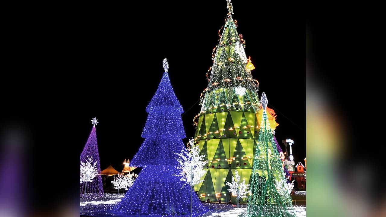 Los árboles de Navidad están presentes.