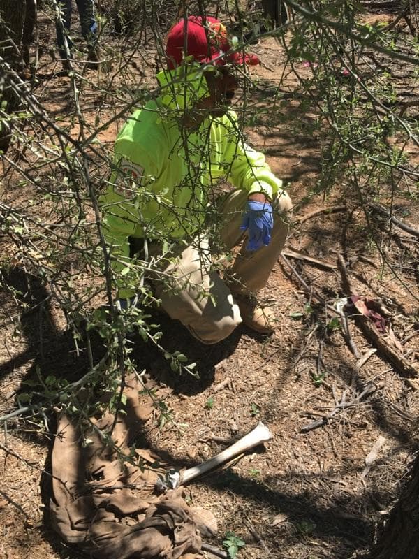 Un de los miembros de la organizacion observa las partes óseas encontradas.
