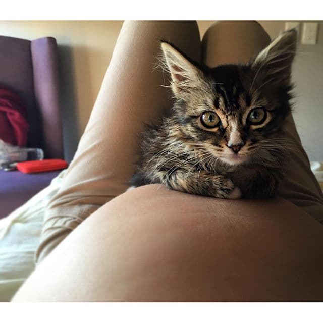 Ariadne está en su mejor etapa y no pierde un momento para capturar su vientre.