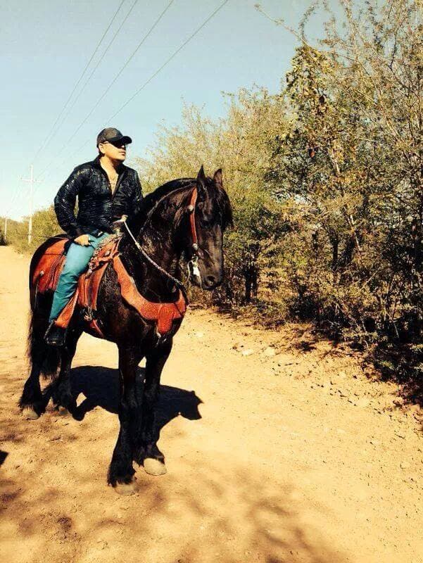 "A mi que me sepulten en el monte // Ahi donde bailaba mi caballo", dice la canción 'Que me sepulten en el monte' de El Komander, otro de los cantantes a quien le gusta tanto la música como los caballos.