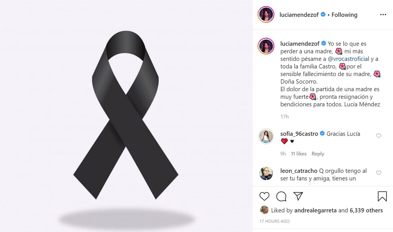 "Yo sé lo que es perder a una madre", compartió la actriz, "
<b><a href="https://www.univision.com/famosos/angelica-rivera-y-otros-famosos-muestran-sus-condolencias-a-veronica-y-jose-alberto-castro-por-la-muerte-de-su-madre-fotos" target="_blank">mi más sentido pésame a Verónica Castro</a></b> y a toda la familia por el sensible fallecimiento de su madre, doña Socorro".
<br>