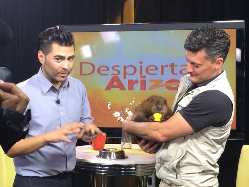 Para más información visite www.sandiegozoo.org