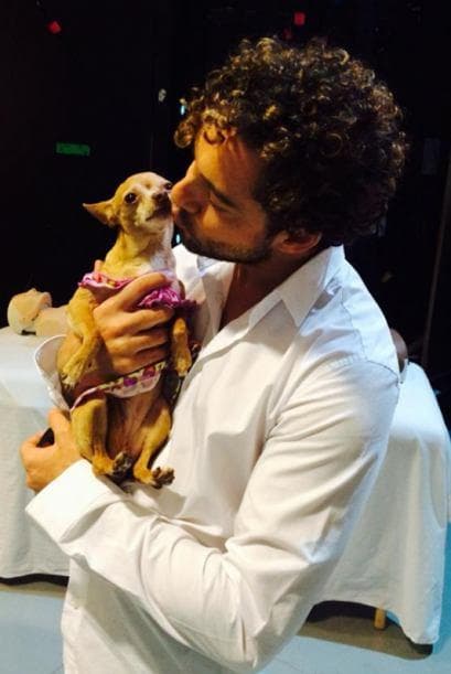 Ella se dejaba querer, Honey era toda una diva.