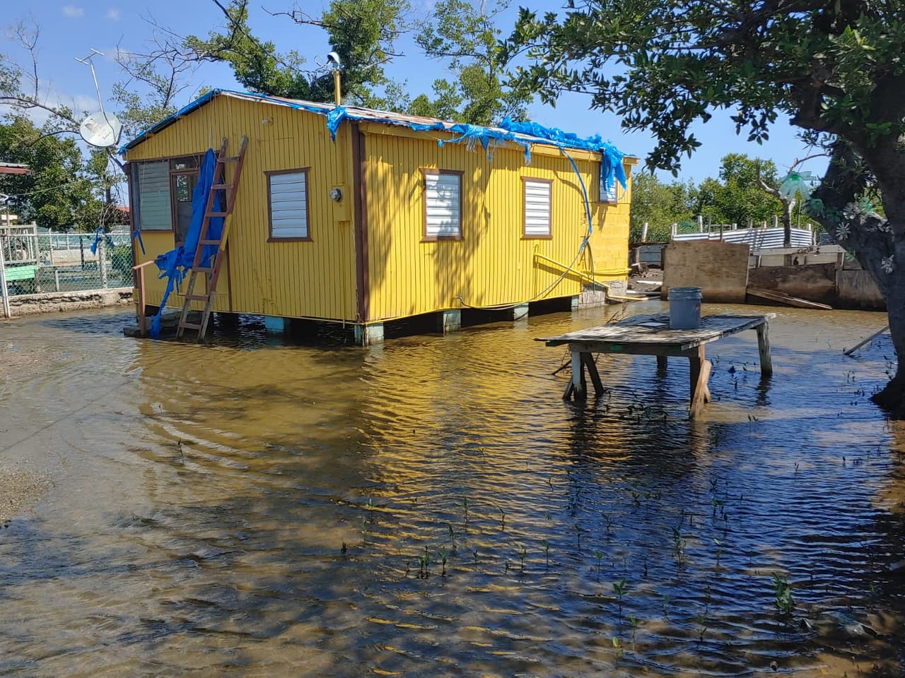 "Dicen que la costa bajó siete pulgadas y media", dice Rose Vélez vecina del Faro.
