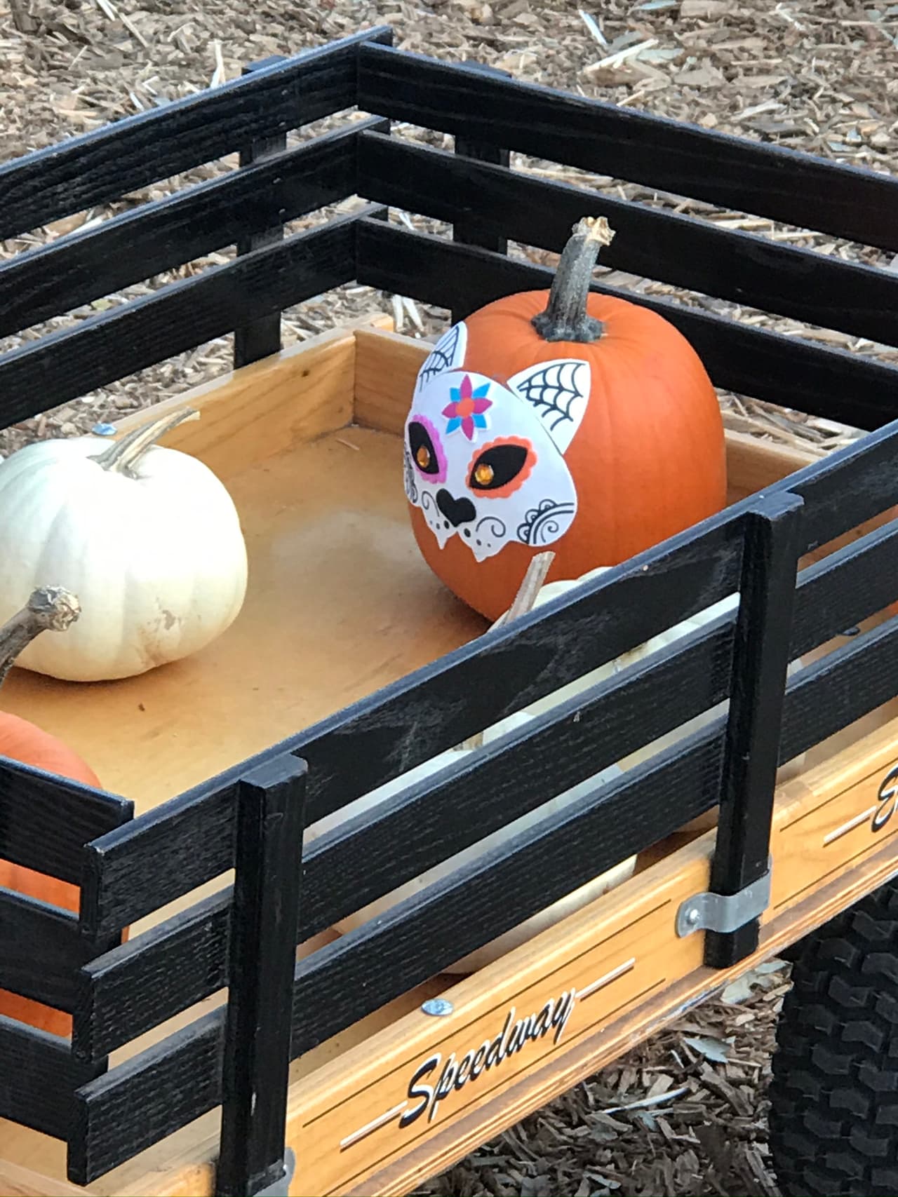 ¿Qué tal una calabaza con antifaz?