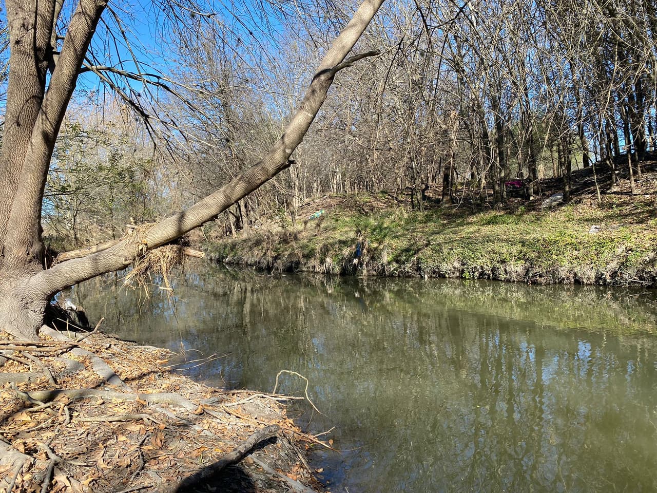 El equipo de trabajo amplió la cuadrícula de búsqueda de Lina desde donde fue vista por última vez el lunes 20 de diciembre de 2021, entre las 4:30 y las 5:10 pm en 9400 Fredericksburg Road en Villas Del Cabo Apartments.