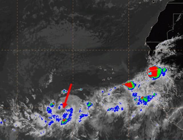 Monitorean onda tropical de camino a Puerto Rico 