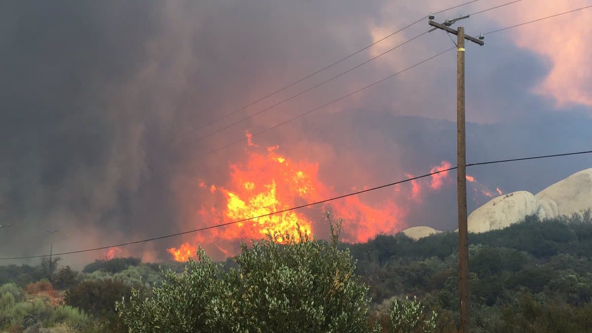 El incendio se extendió por el Bosque Nacional San Bernardino.