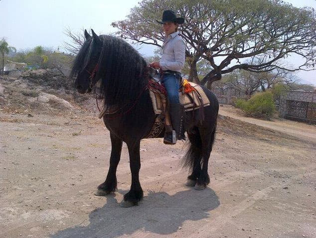 Este joven galán también siguió los pasos de su padre, le encantan los caballos.