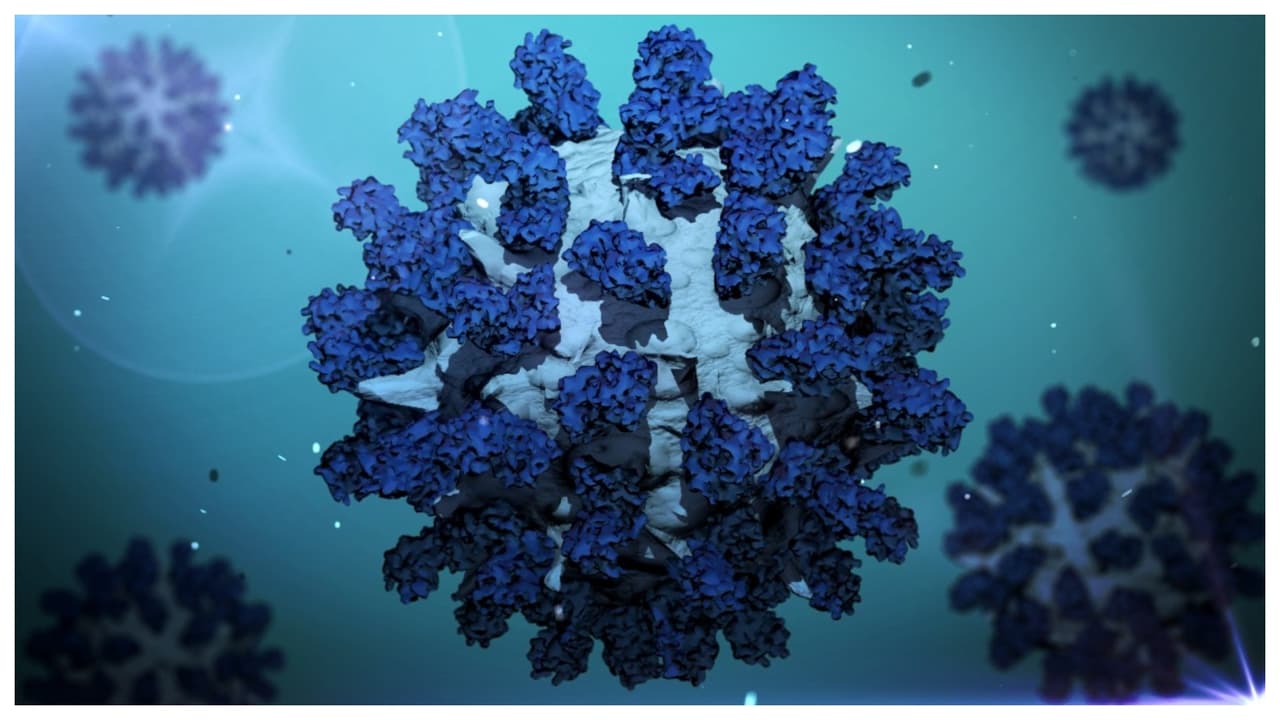 Concluye la emergencia por la pandemia del coronavirus: aquí te decimos qué significa