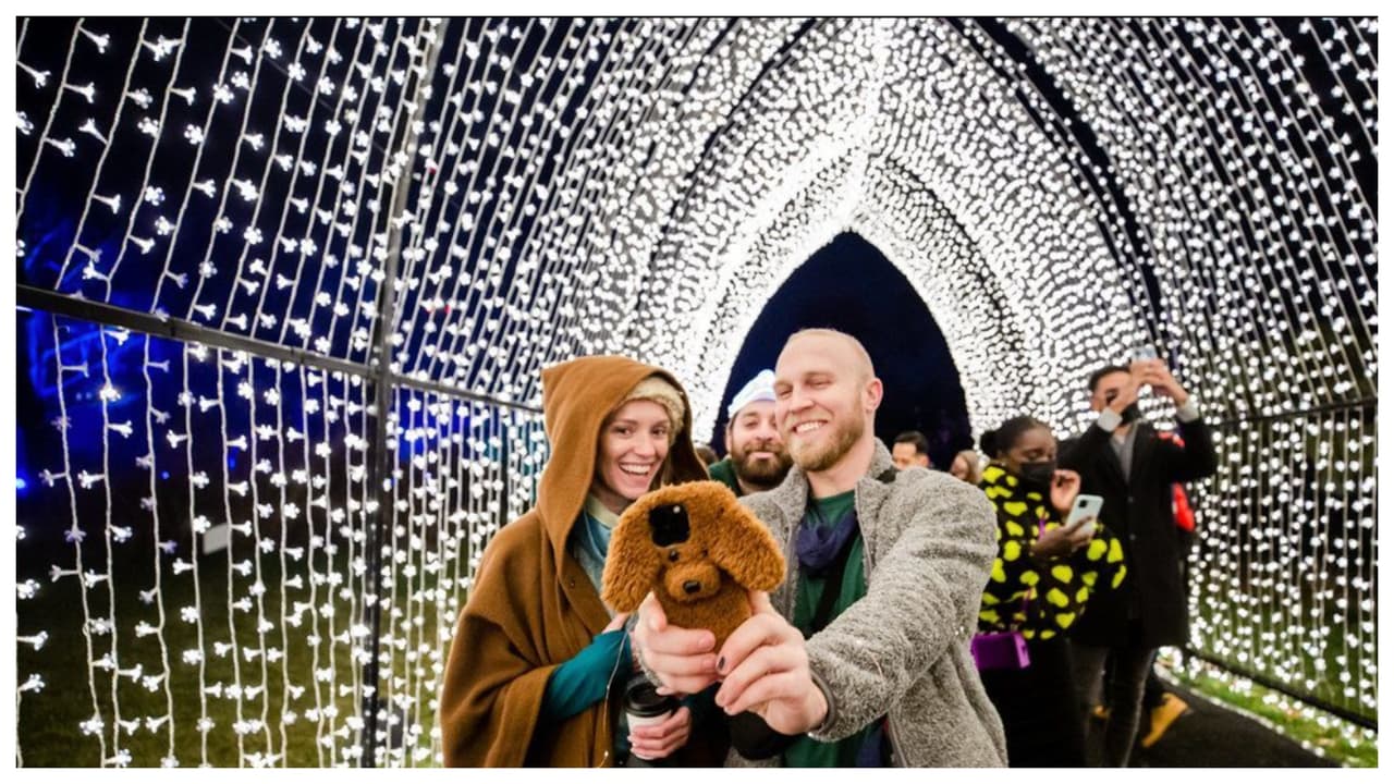 Millones de turistas viajan a NYC en la época de fin de año. No quedan decepcionados: la ciudad ofrece algunos de los mejores shows de luces de todo el mundo. Mira algunos de ellos...