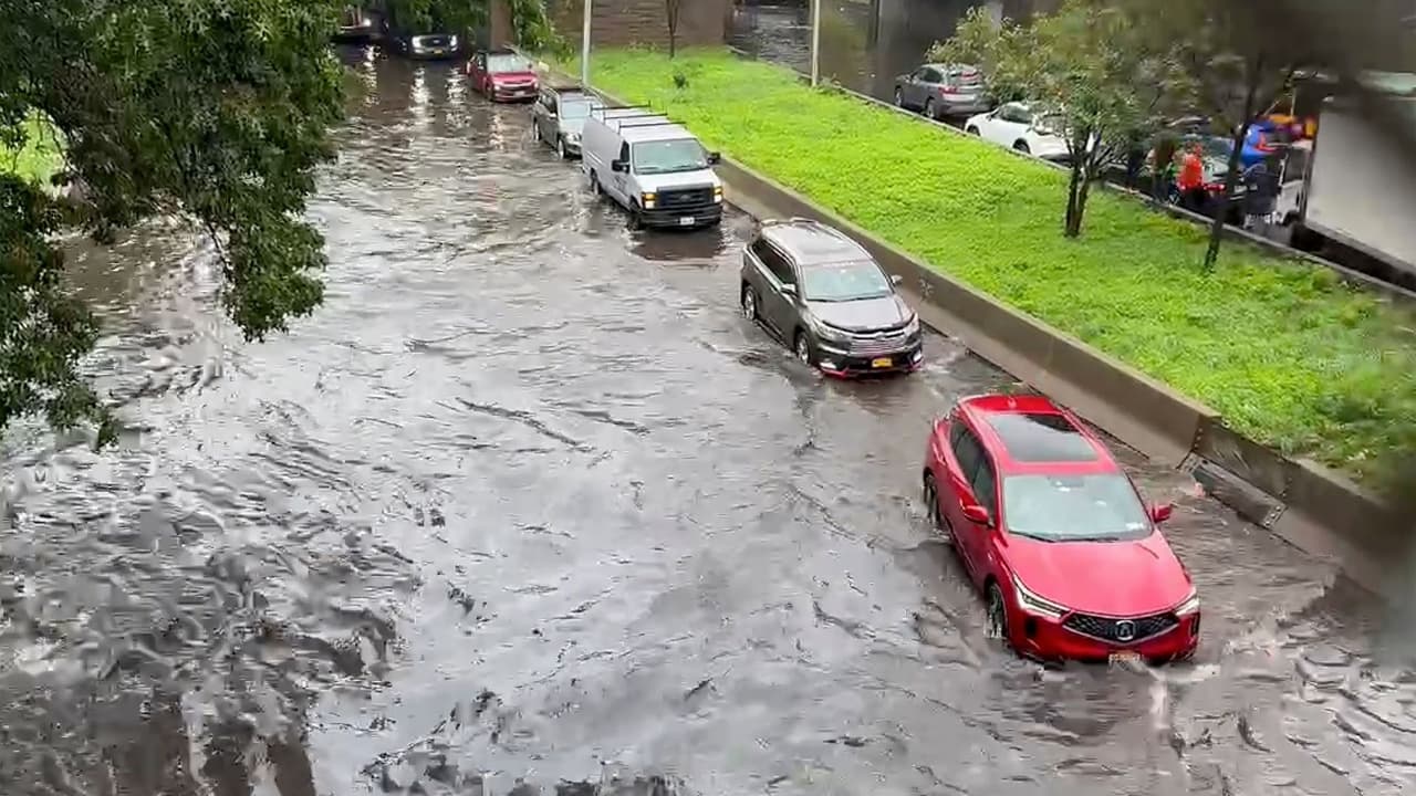 Advierte Departamento de Vehículos: cuidado con comprar un auto dañado por inundaciones