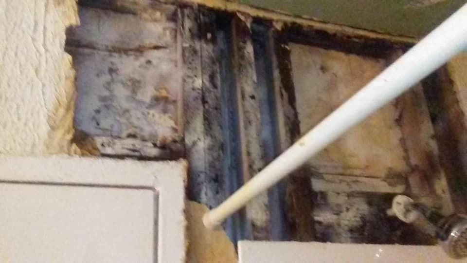 Hongo y moho en las paredes