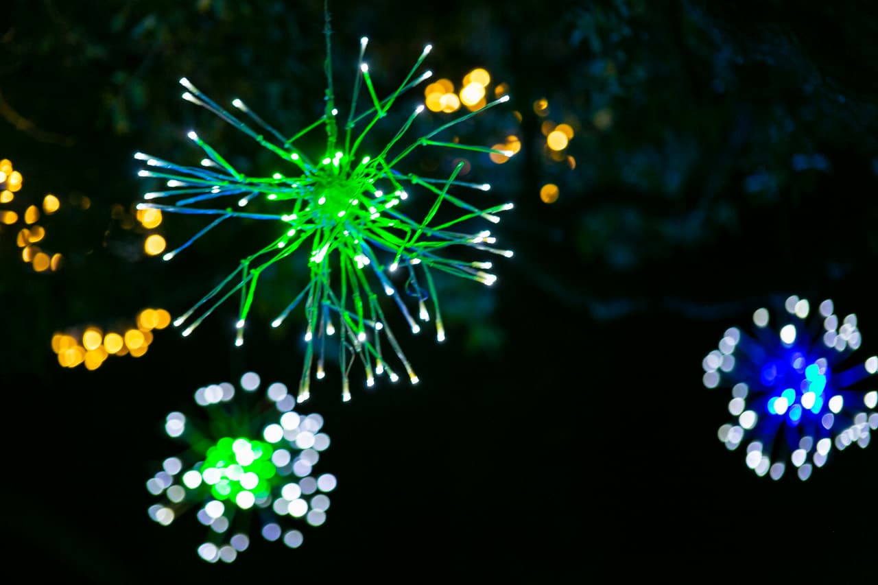 Durante el día el Zoológico seguirá abierto como de costumbre para ver a los animales, pero a partir de las 5:30 pm abre al público para disfrutar de las luces.