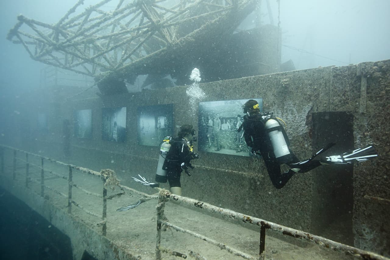 Los restos del barco hundido en Key West resultó un lugar ideal para esta increíble exhibición.