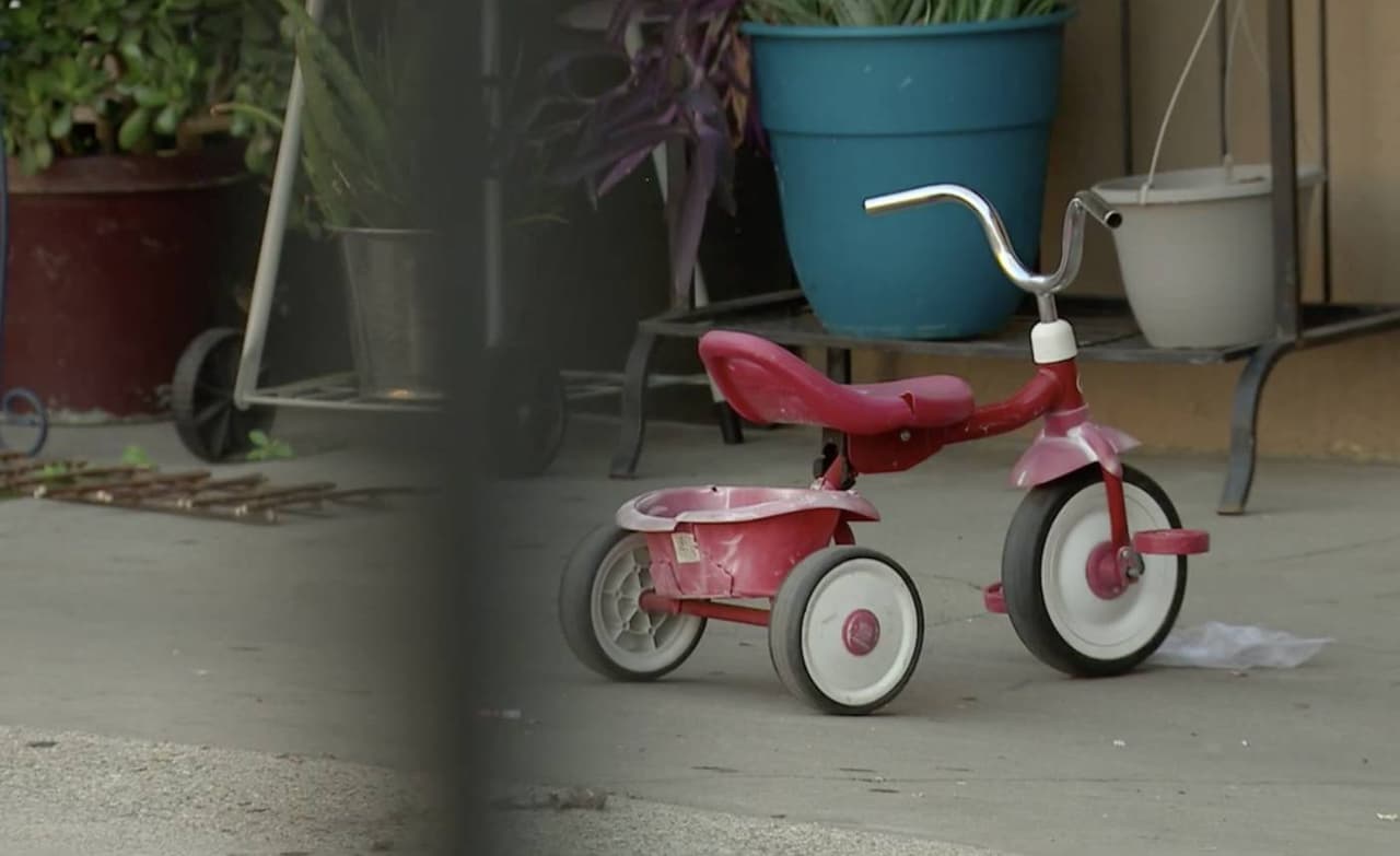 Además, en el apartamento había 5 niños con edades de uno a 13 años, que fueron puestos bajo tutela de protección infantil. Con respecto al joven muerto Miller dijo que
<b>“parece que el abuso físico se limitó al adolecente de 16 años”.</b>