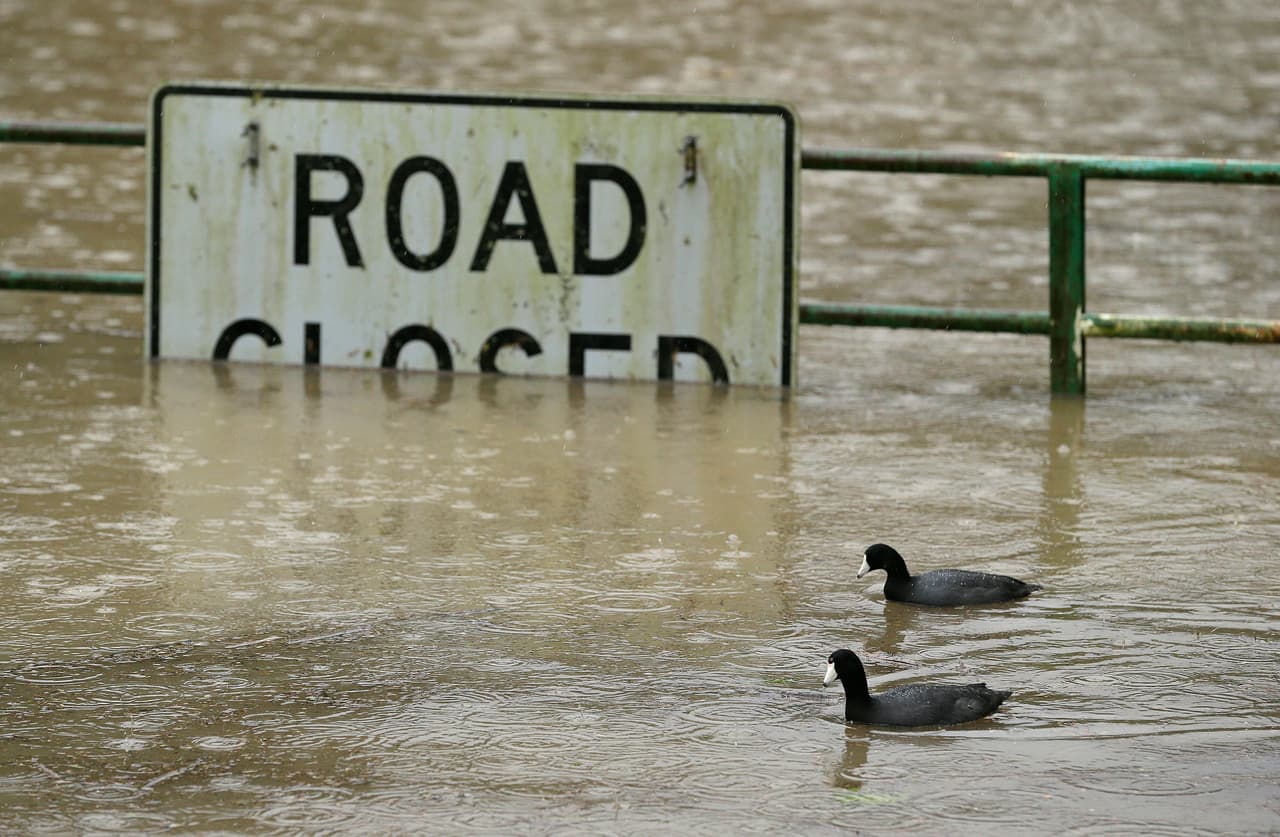 Dos patos cruzan sobre las aguas que inundaron una carretera en Monte Rio, California.