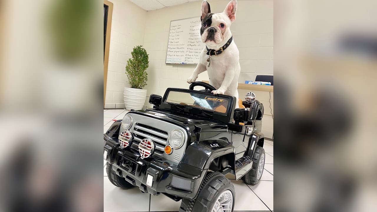 "@lunafrenchiie Con una personalidad única que enamora a cualquiera 💓"