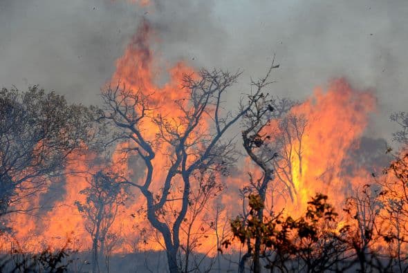 El decreto permitirá aumentar la disponibilidad de recursos con los que minimizar los efectos de los incendios que proliferan en el entorno de Brasilia por la sequía que dura desde el pasado abril, según explicó el gobernador del Distrito Federal, Rogerio Rosso, en un comunicado.