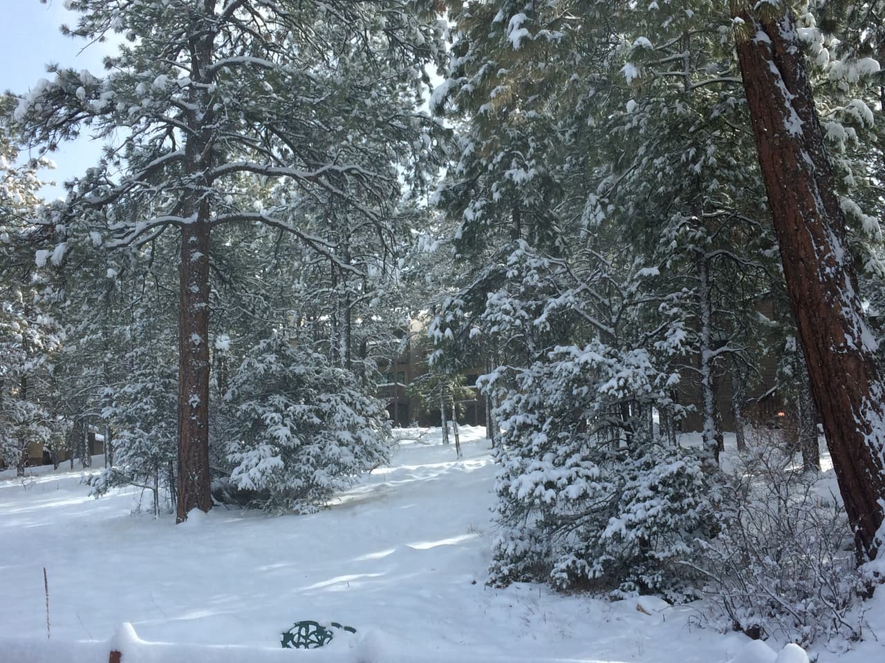 Muchas personas deciden ir a zonas altas a disfrutar de los deportes en nieve, sin embargo, es importante tomar en cuenta algunas recomendaciones para evitar que su viaje se convierta en una pesadilla.
<br> 
<br> 
<br>