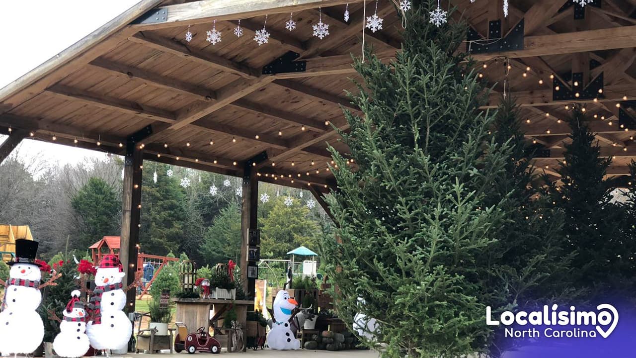 Elige tu árbol para la Navidad 2023 en estas granjas de Carolina del Norte