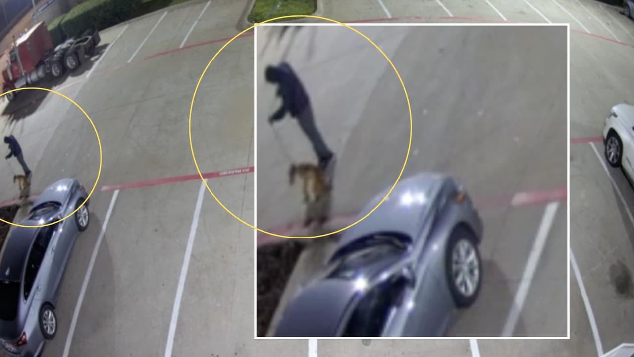 Green arrastra al perro a través de un estacionamiento, antes de abandonarlo detrás de un contenedor de basura.