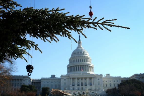 Las luces del árbol se encenderán en una ceremonia que se llevará a cabo el 4 de diciembre, informó CNN.