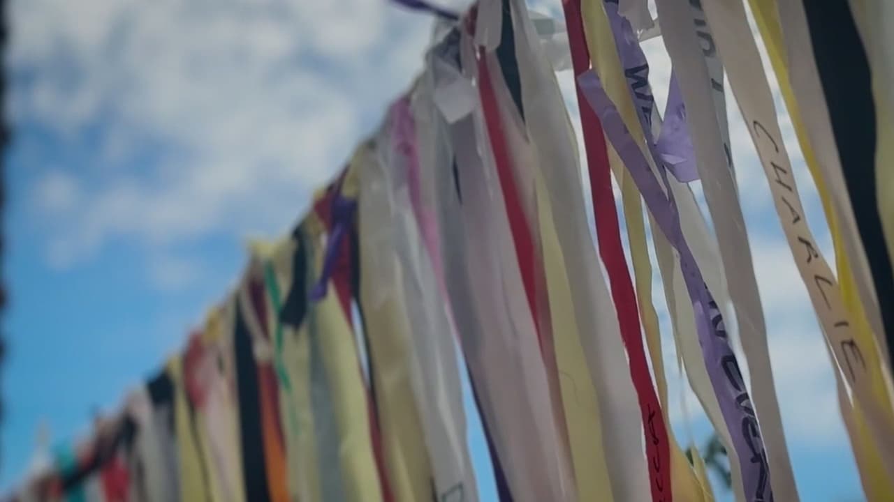 A 10 años de la masacre de Pulse, Orlando rinde homenaje a las víctimas y avanza memorial
