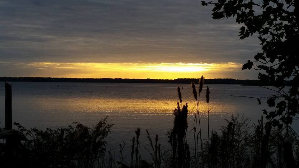 Los restos de muelles para barcos, un lecho de ferrocarril sin rieles y restos quemados de hornos de alquitrán brindan una idea del apogeo de una industria maderera que alguna vez fue el centro de la vida en el área.