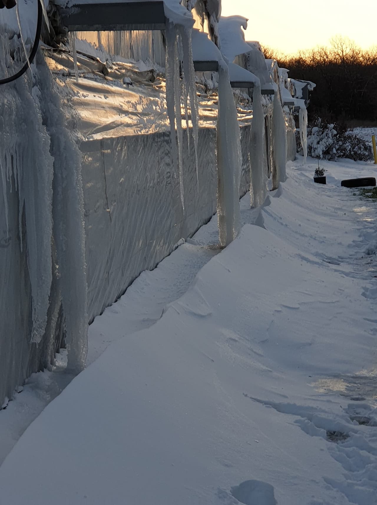 Se esperan temperaturas por debajo de cero grados durante todo el día