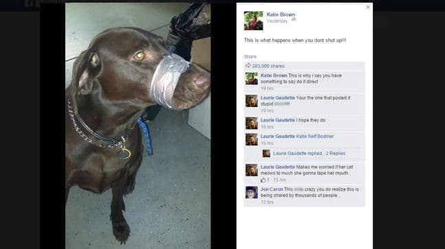 Foto en Facebook de perro con el hocico amarrado desata polémica en EEUU