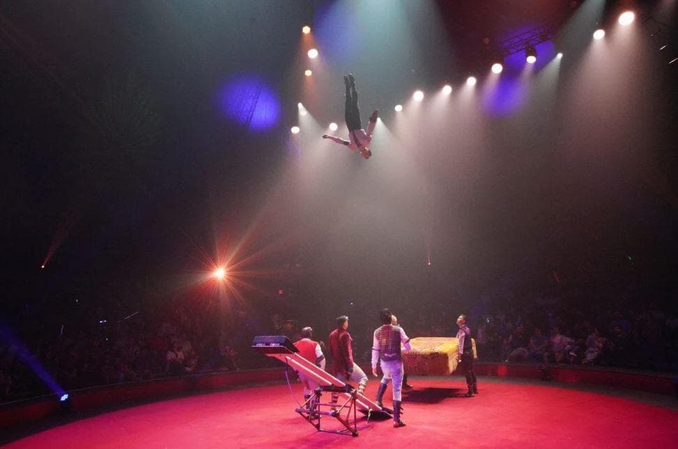 <b>Evento</b>: Circo de los Hermanos Vázquez
<br>
<b>Fechas</b>: Hasta el 16 de julio
<br>
<b>Lugar</b>: Plaza Fiesta, en el 4166 Buford Hwy NE. Atlanta, GA, 30345.
<br>
<b>Sitio web</b>:
<a href="https://tickets.circusvazquez.com/event/atlanta-ga78">https://tickets.circusvazquez.com/event/atlanta-ga78</a>
<br>
<br>El
<b><a href="https://www.univision.com/local/atlanta-wuvg/vuelve-atlanta-todo-el-talento-y-la-emocion-del-circo-de-los-hermanos-vazquez-fotos">Circo de los Hermanos Vazquez</a></b> -uno de los espectáculos más aclamados de Estados Unidos- llega a Atlanta y tendrás una oportunidad única de disfrutar junto a tu familia y amigos de presentaciones que desbordan talento, desafían a la muerte, con artistas reconocidos a nivel internacional, risas, música y muchos más.