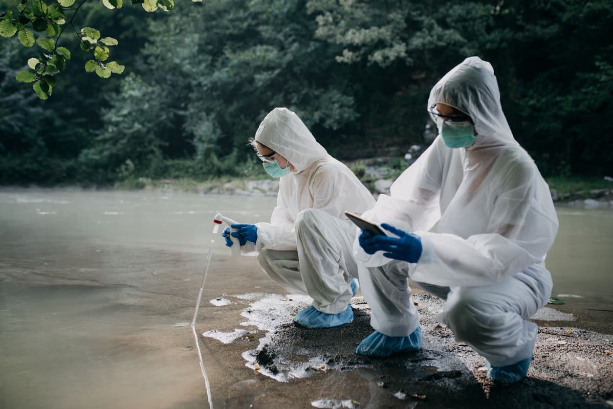 ¿Puede una megatormenta 'ARk' causar epidemias y la extinción de especies? Los científicos creen que es posible