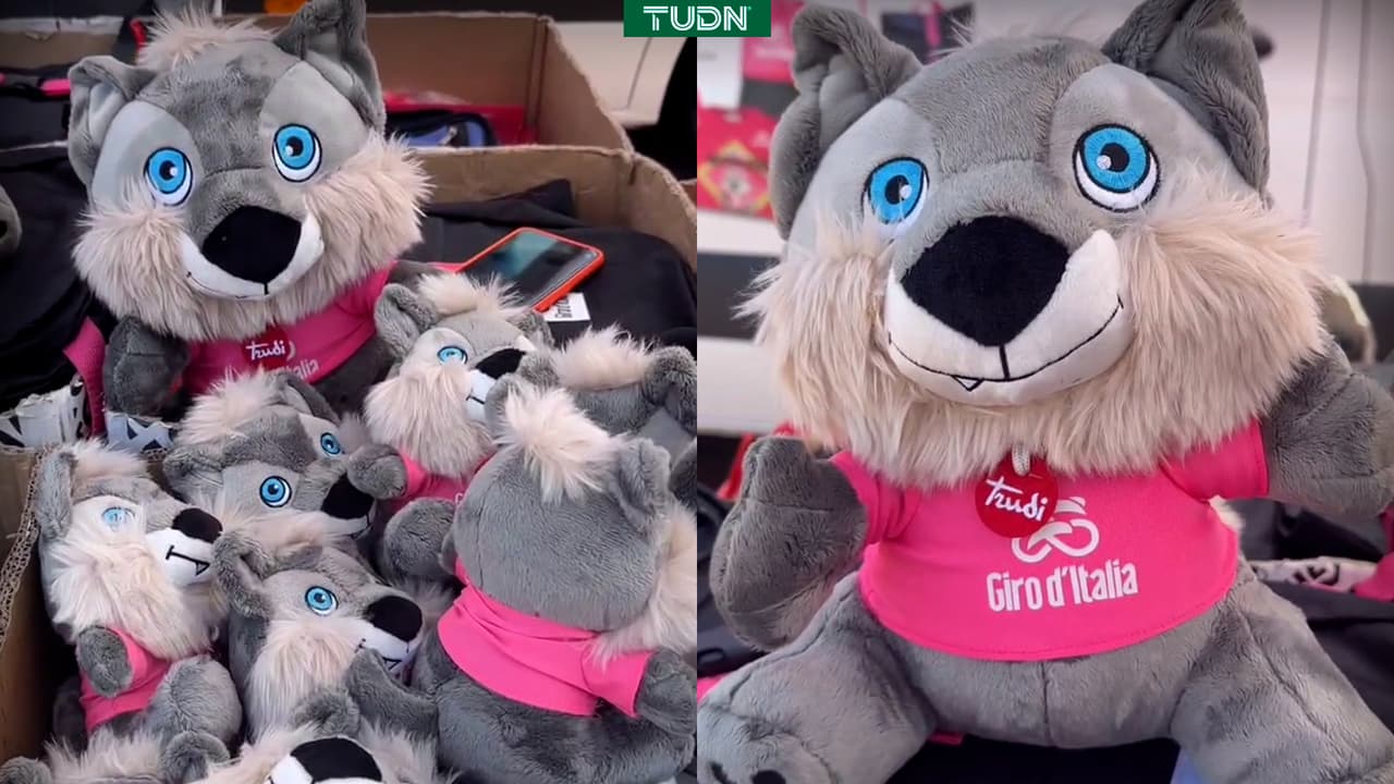 Los 'lobitos' que acompañan a Isaac del Toro en el Giro de Italia