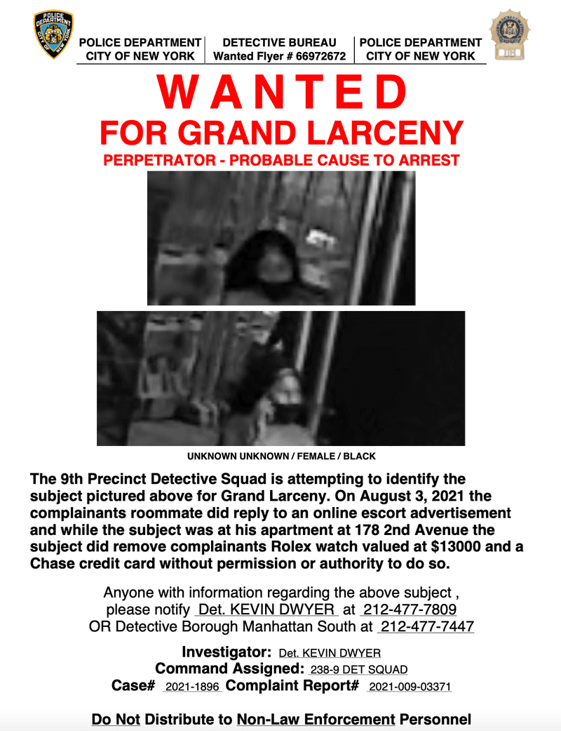 Durante su visita, la mujer presuntamente robó el reloj y las tarjetas de crédito de la víctima en su apartamento del East Village.