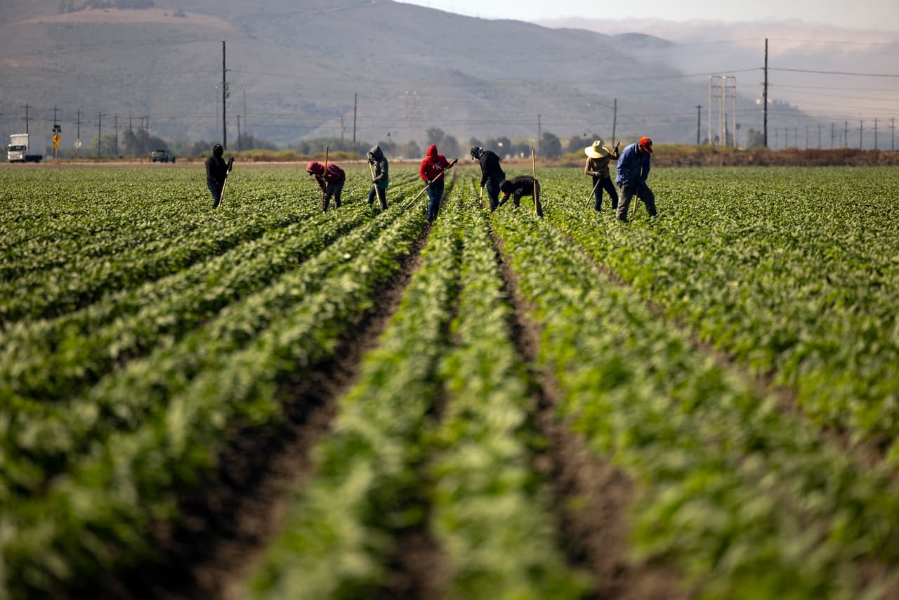 Uno de los principales problemas denunciados por los trabajadores inmigrantes es la
<b>falta de pago de salarios</b>, situación para la que el consulado ha anunciado
<b>asistencia legal gratuita</b>.
<br>