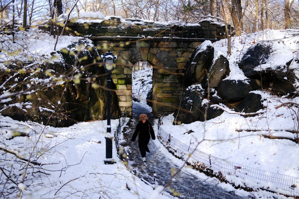 La nieve que cayó el 21 de diciembre tendría que conservarse hasta el 25 de diciembre, algo que 
<b><a href="https://www.univision.com/local/nueva-york-wxtv/limpieza-nieve-nueva-york-reglas-que-debes-cumplir" target="_blank">quienes conocen bien esta ciudad, saben que no es posible</a></b>.