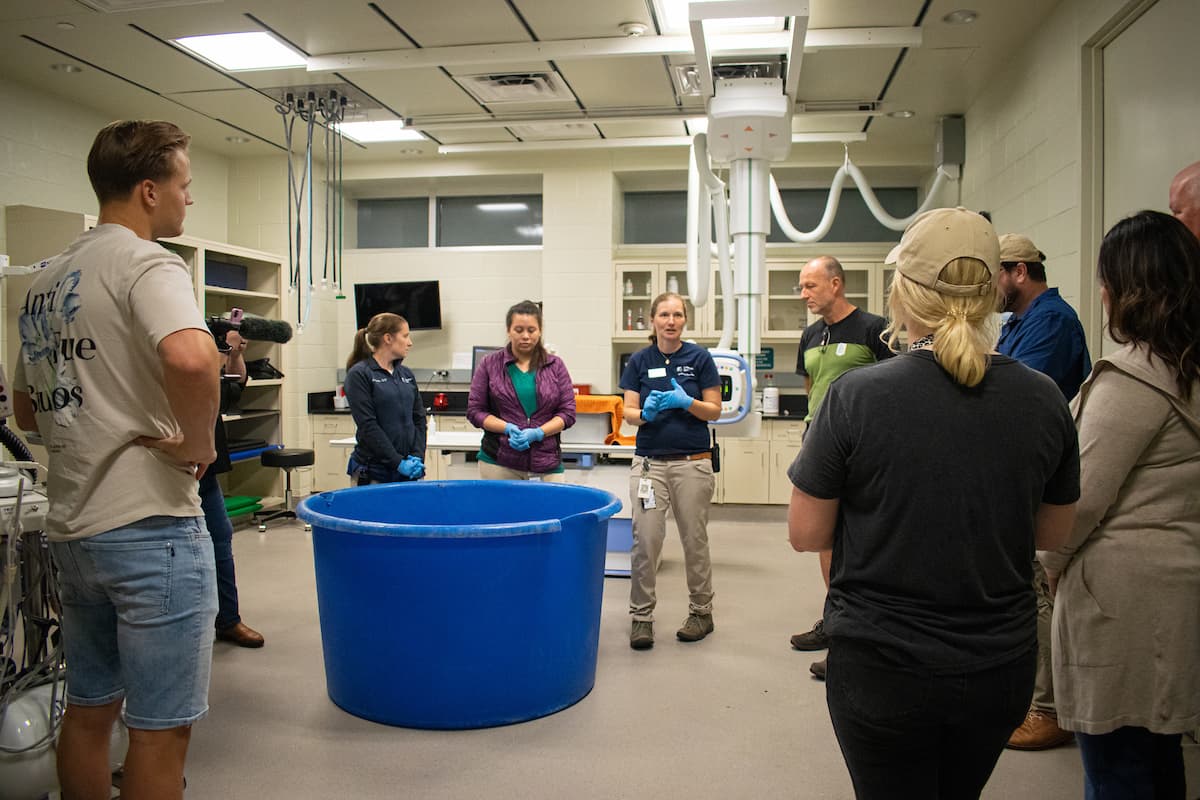Cuando llegó al Zoológico de Houston, Boeier fue colocada en un tanque de agua profunda para que pudiera aclimatarse. 
<br>