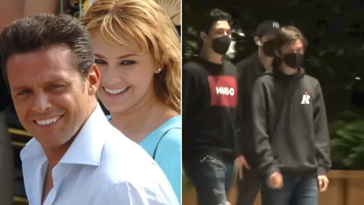 ¿Hijos de Aracely Arámbula ya se parecen más a 'Luismi'? Famosa cantante los vio y esto revela 