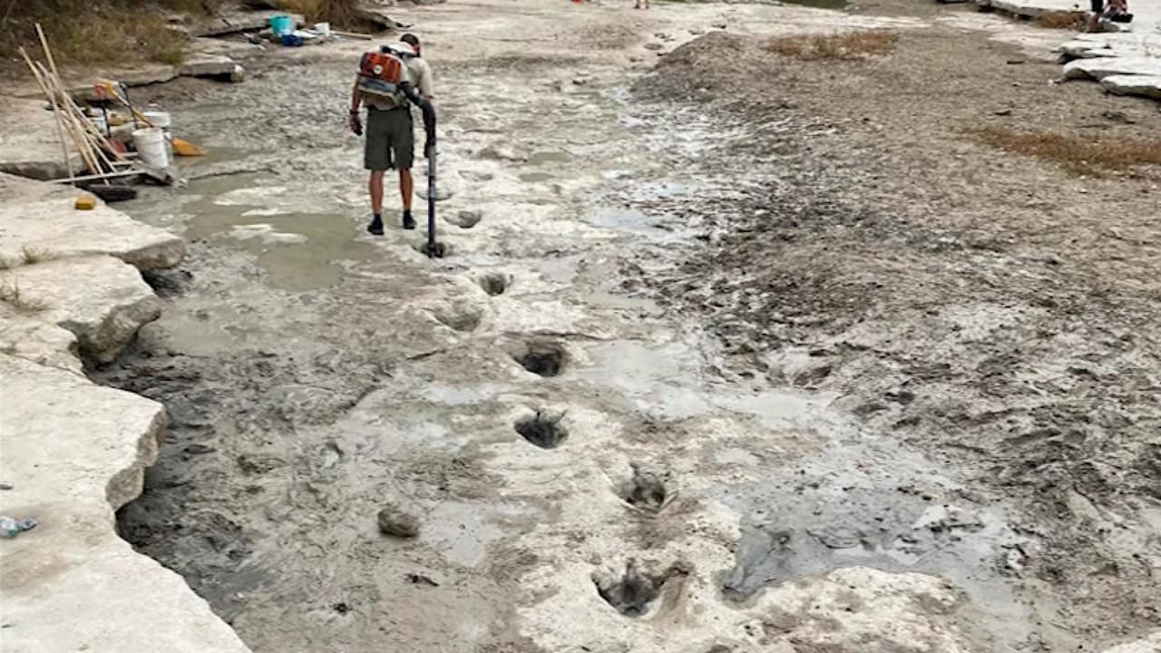 <h3 class="cms-H3-H3"><b>Huellas de dinosaurio en Texas </b></h3>
<br>
<br>Otro de los hallazgos sucedió en un parque en Texas: se trata de huellas de dinosaurios que datan de más de 113 millones de años.
<br>
<br>El Parque Estatal Dinosaur Valley cerca de Fort Worth, Texas, descubrió las huellas que anteriormente estaban cubiertas por agua y sedimentos tras la sequía del río Paluxy.
<br>